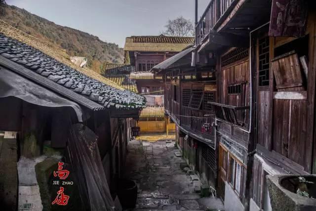 逃离粉红岛